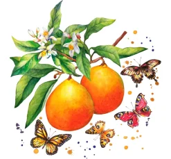 Outlet Paper+Design Serviette "Schmetterlinge & Orangen"