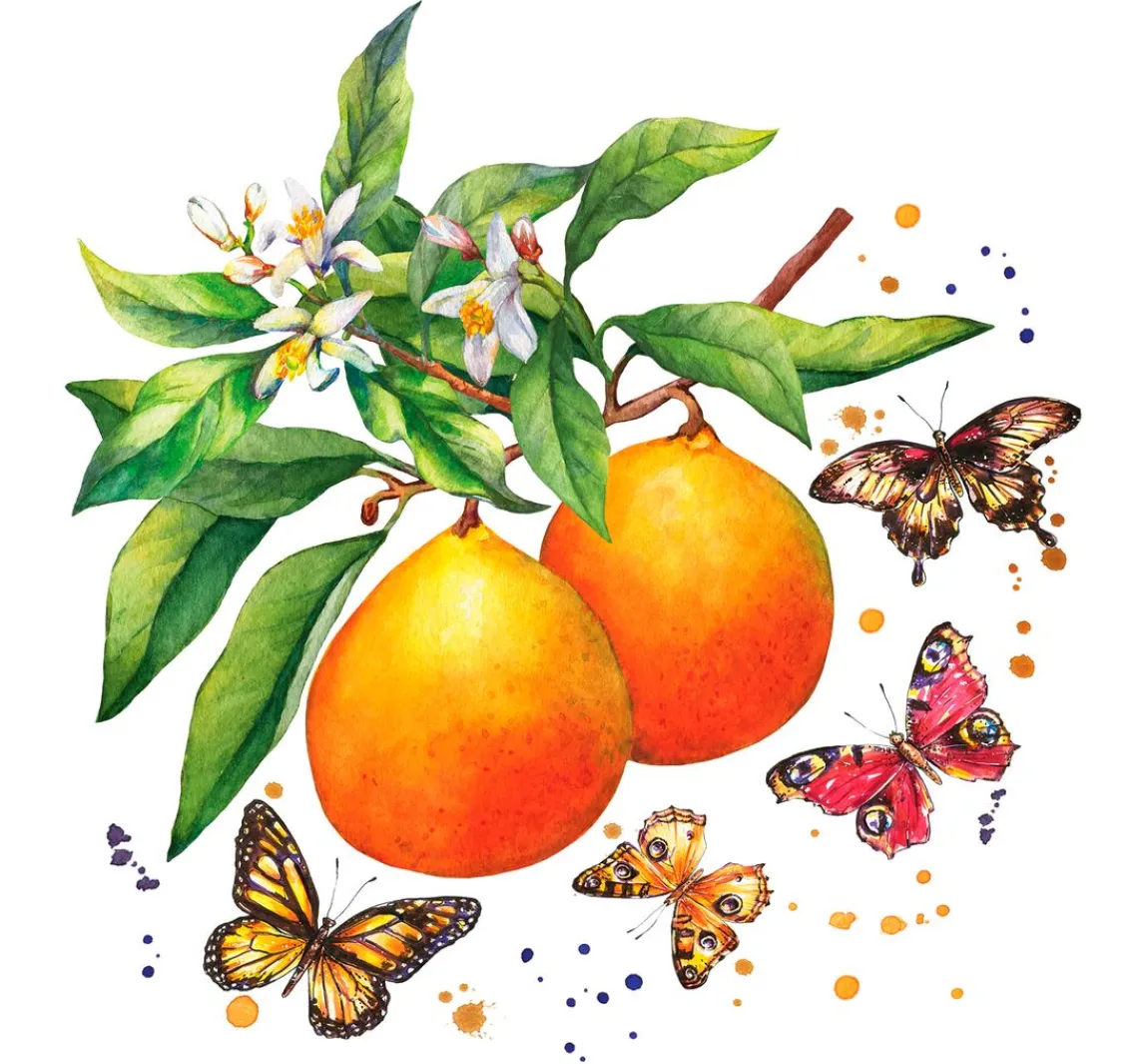 Outlet Paper+Design Serviette "Schmetterlinge & Orangen"