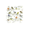 Hot Ambiente Serviette "Vogel-Treffen"