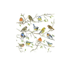 Hot Ambiente Serviette "Vogel-Treffen"
