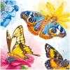 Online IHR Serviette "Watercolour Butterflies"