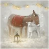 Clearance IHR Serviette"Nino and Molly"