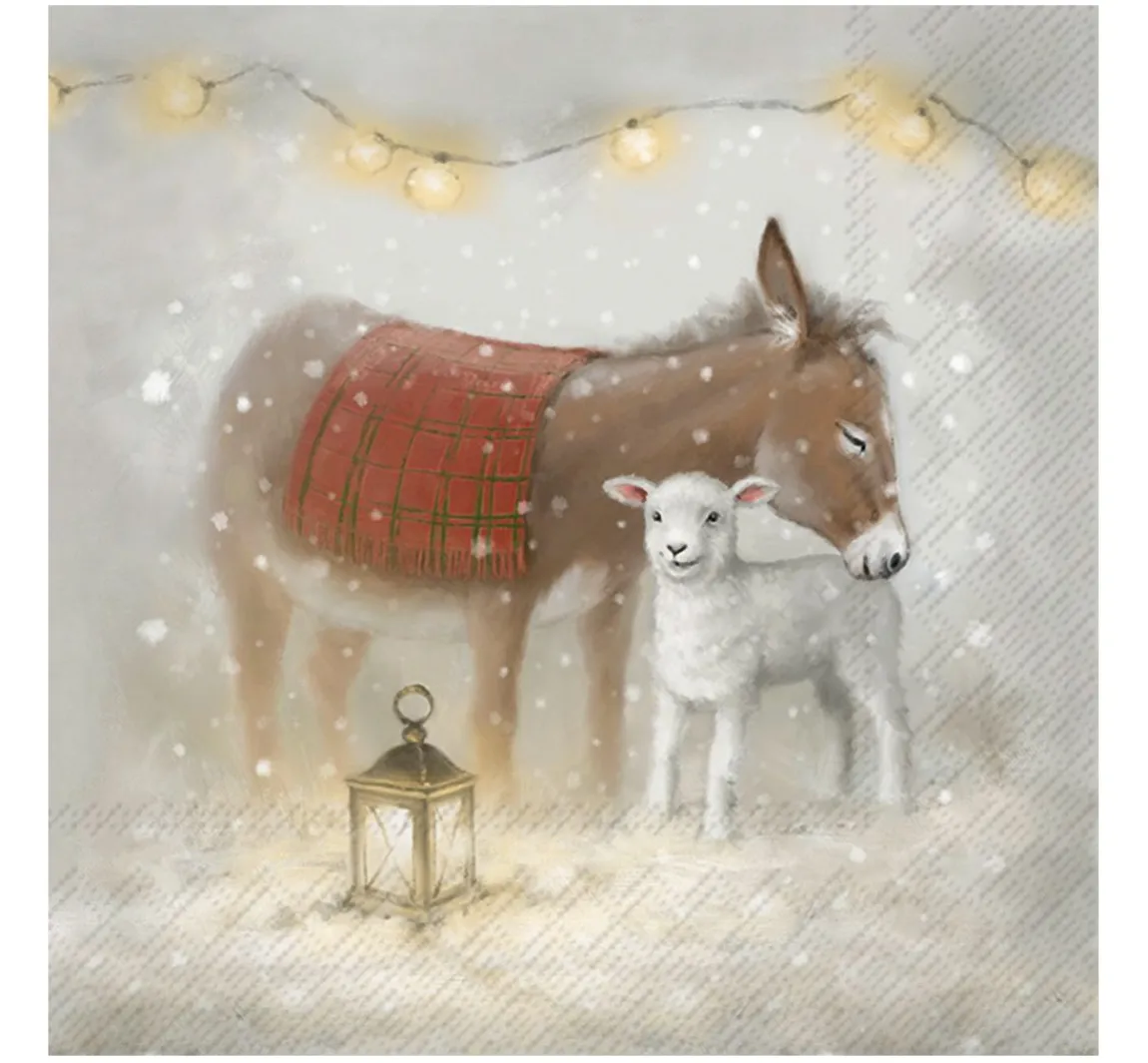 Clearance IHR Serviette"Nino and Molly"