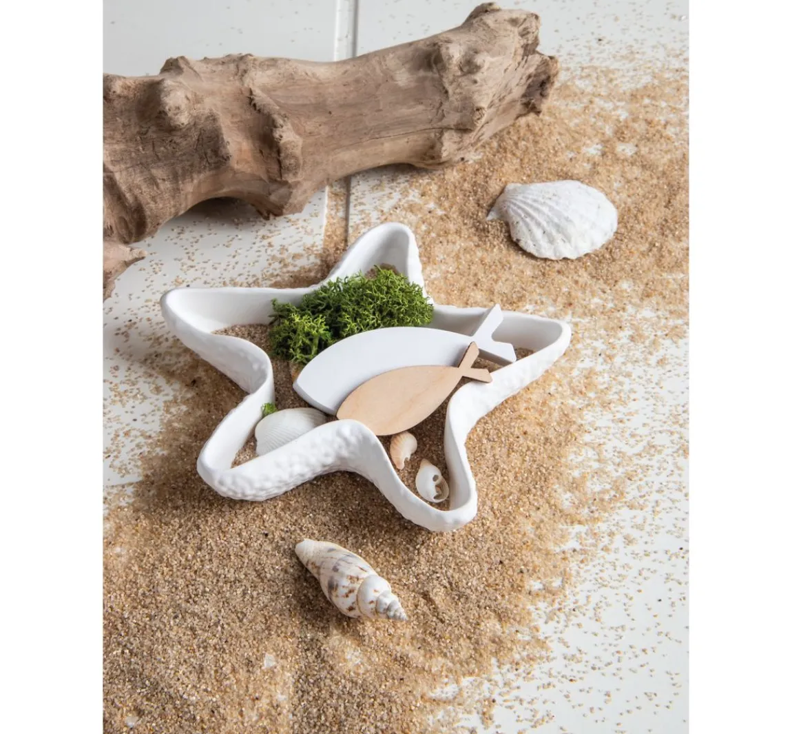 Sale Rayher Silikon Gießform "Seestern & Muscheln"