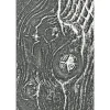New Sizzix 3D-Prägeschablone "Woodgrain by Tim Holtz"