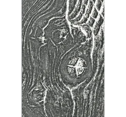 New Sizzix 3D-Prägeschablone "Woodgrain by Tim Holtz"