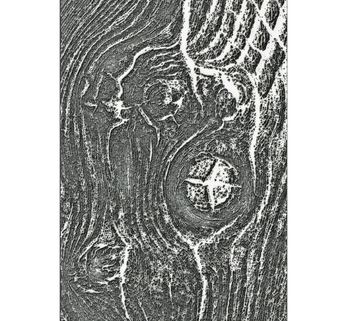 New Sizzix 3D-Prägeschablone "Woodgrain by Tim Holtz"
