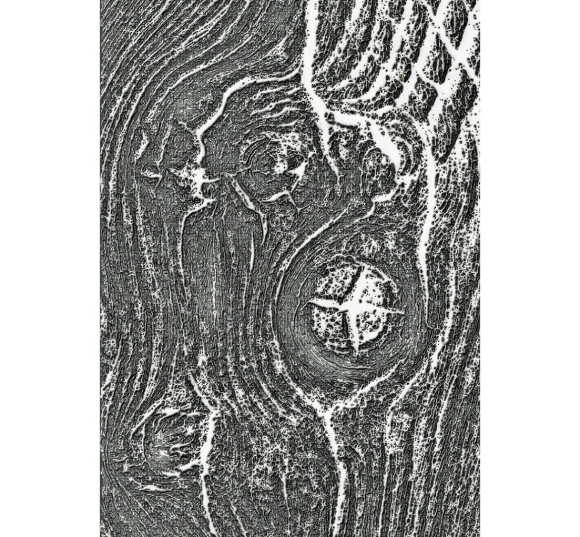 New Sizzix 3D-Prägeschablone "Woodgrain by Tim Holtz"