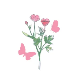 Outlet Sizzix Framelits Stanzschablone und Clear Stamps "Painted Pencil Botanical"