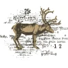 Best Sizzix Stanzschablone und Clear Stamps "Reindeer Mix Cluster by 49 and Market"