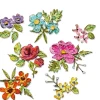 Best Sizzix Thinlits Stanzschablone "Brushstroke Flowers Mini by Tim Holtz"