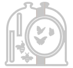Sizzix Thinlits Stanzschablone "Card, Bell Jar"