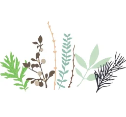 New Sizzix Thinlits Stanzschablone "Hidden Leaves"