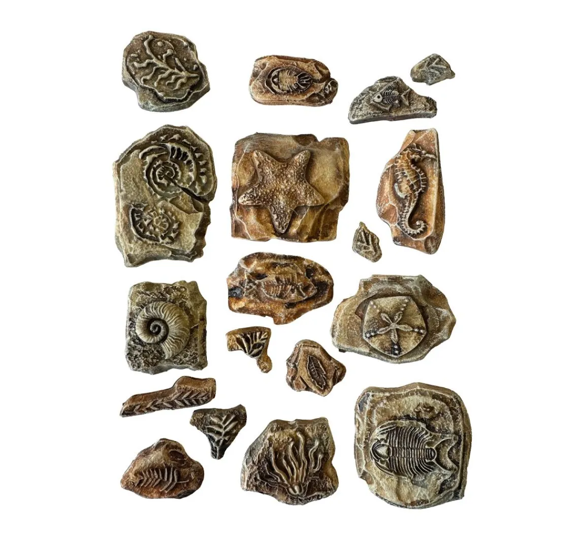 New Stamperia Soft Modellierform A5 "Silent Sea - Fossils"