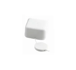 ohne Marke Spieluhrenwerk