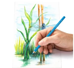 Hot STAEDTLER Aquarell-Buntstifte, 12er Set