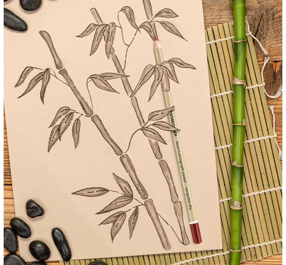 New STAEDTLER Lumograph "Pastellstifte"