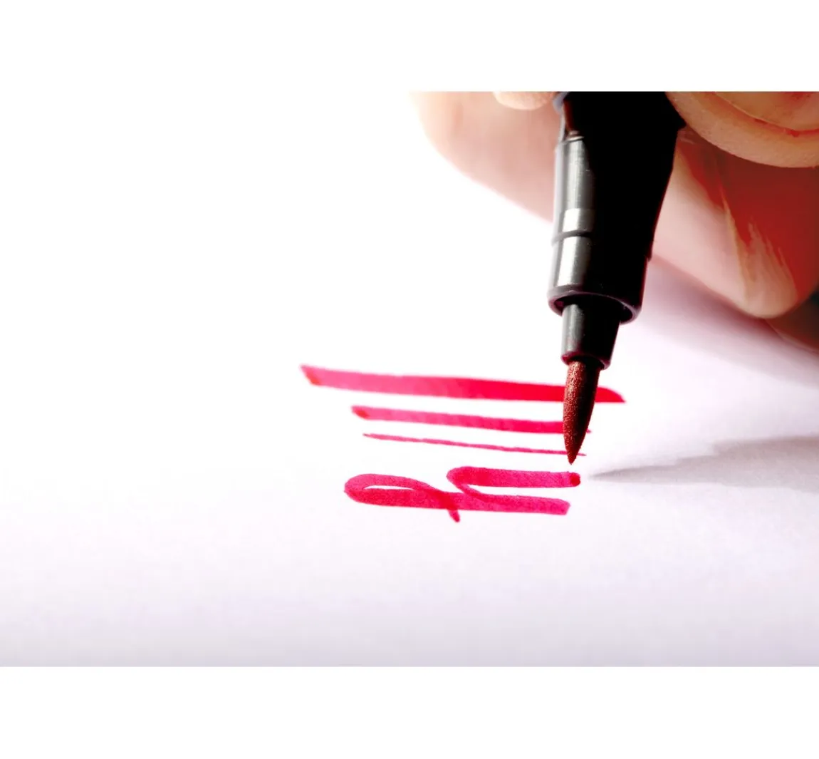 Online STAEDTLER Pigment brush pen, 12er-Set