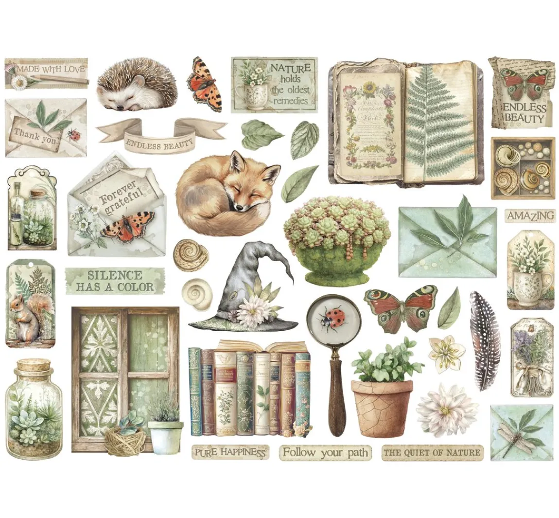 Best Stamperia Stanzmotive "Herbarium Silvae"