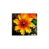 Clearance FarbTon Papier Stanzschablonen-Faltblume "Cosmea"