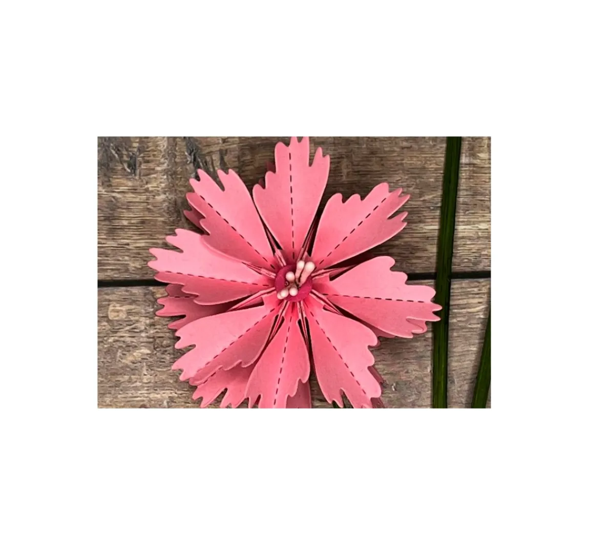 Clearance FarbTon Papier Stanzschablonen-Faltblume "Cosmea"