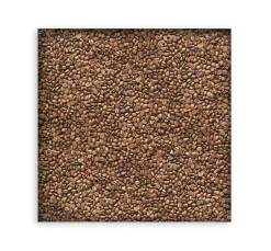 Stamperia Stoffpaket 