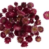 Discount VBS Strohblumenköpfe