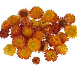 Discount VBS Strohblumenköpfe