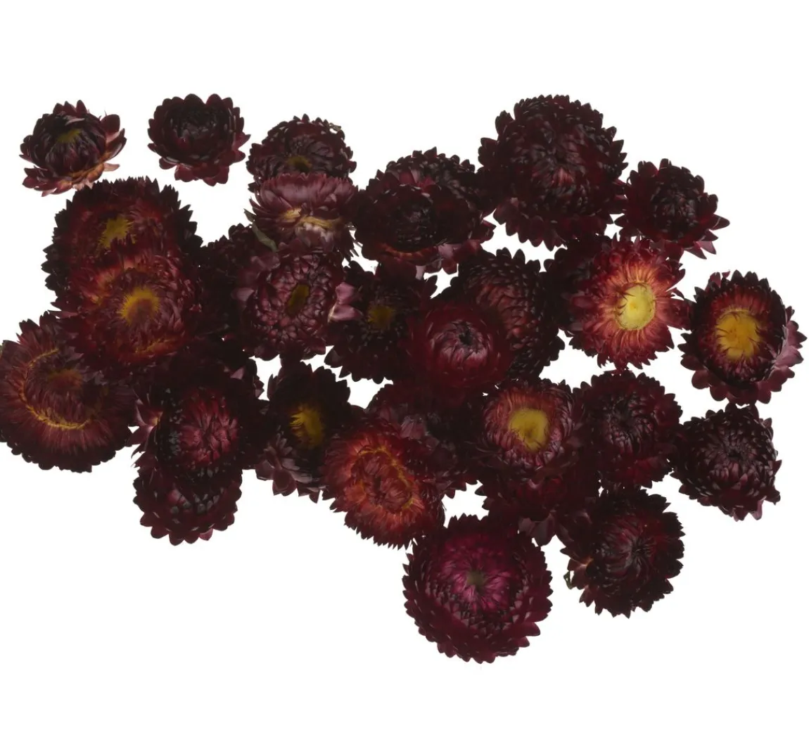 Discount VBS Strohblumenköpfe