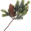 Online DPI Tannen Zweig mit einem Zapfen, L 24 cm