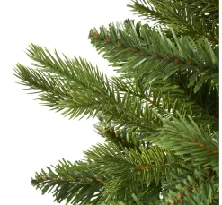 Discount DPI Tannenbaum