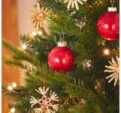 Discount DPI Tannenbaum