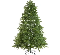 Discount DPI Tannenbaum