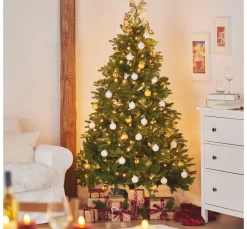 Discount DPI Tannenbaum