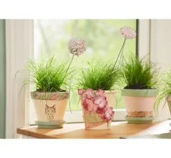 Online VBS Terrakotta-Rosentöpfe, 3 Stck