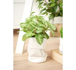 Clearance Heyda Texipap, 50x110cm