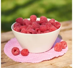 Online CREARTEC TexWax Imprägnierfluid