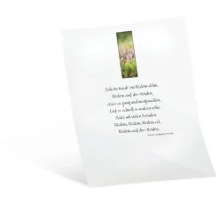 Online folia Transparentpapier, 10 Blatt