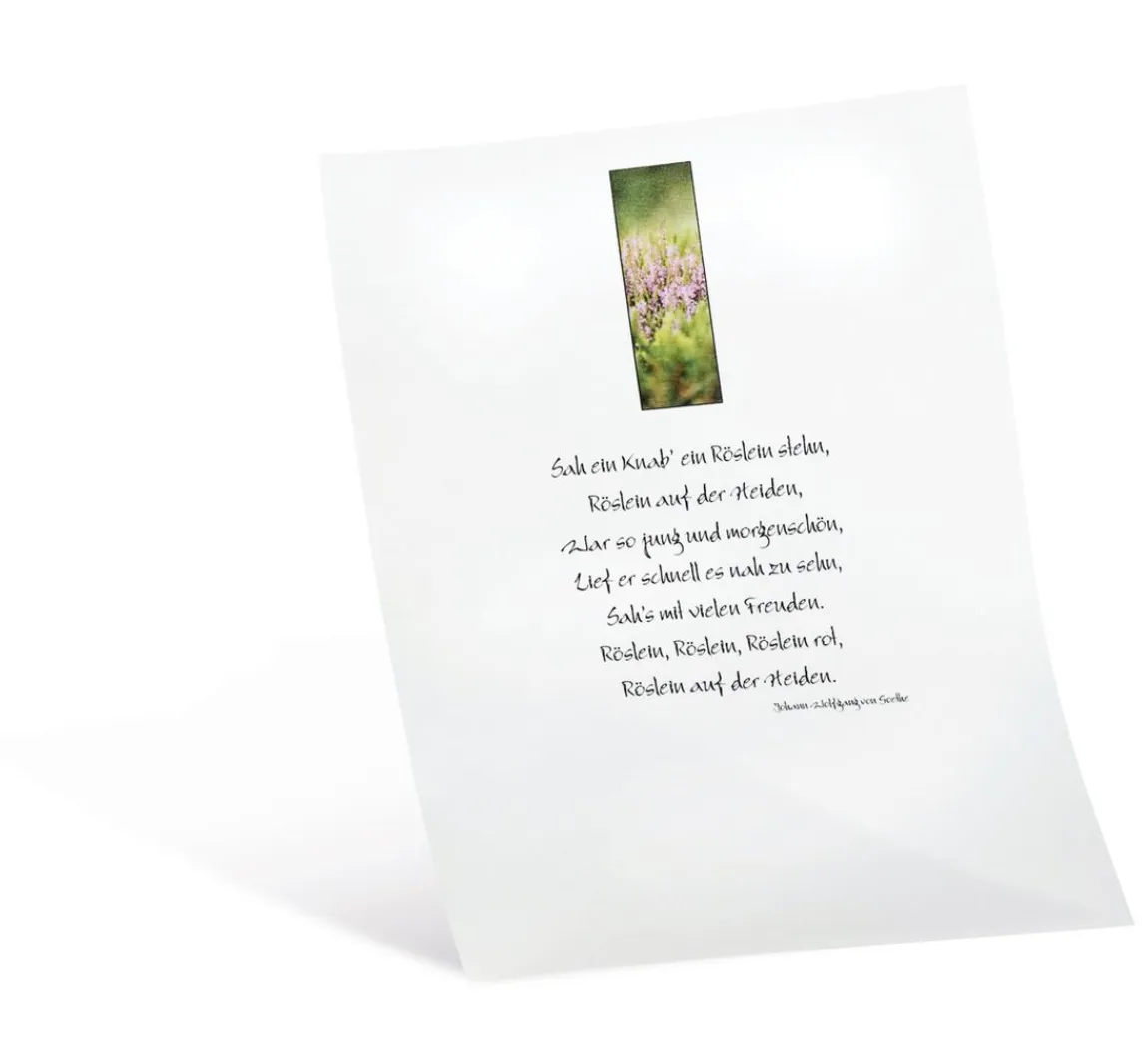 Online folia Transparentpapier, 10 Blatt