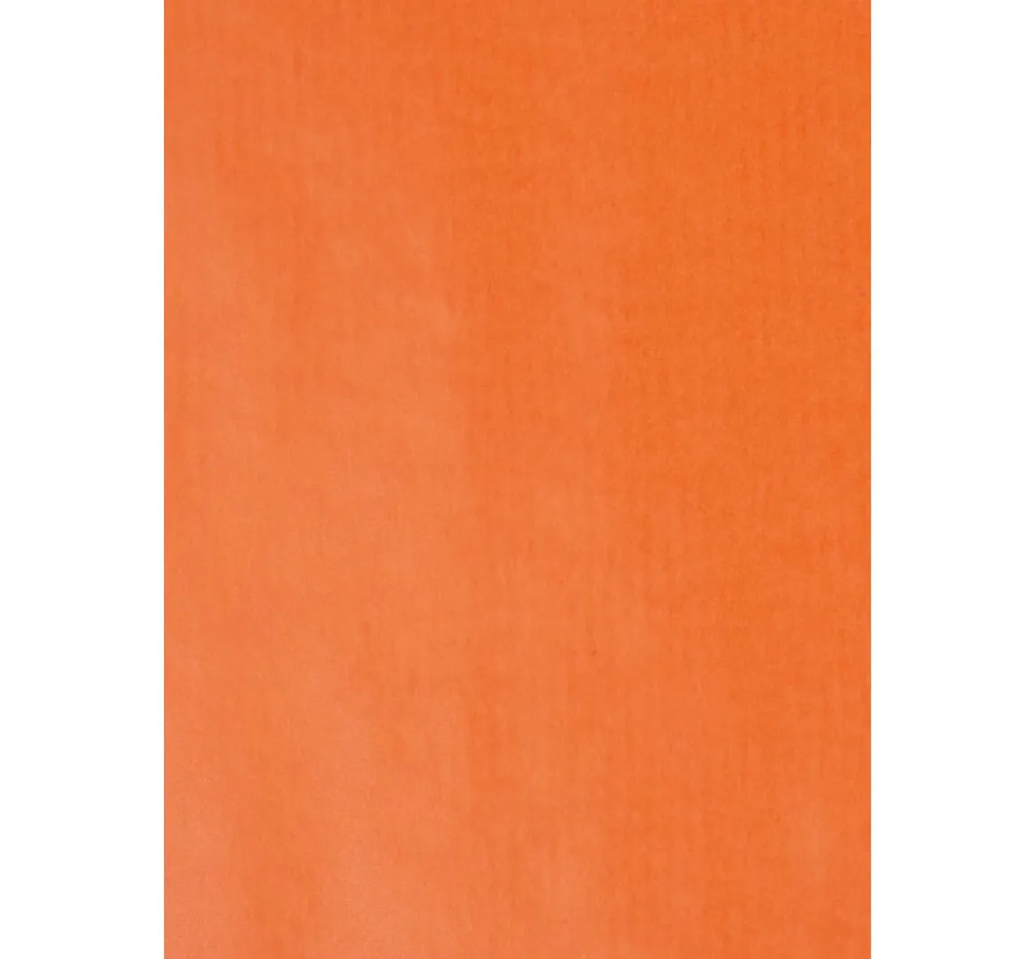 Sale folia Transparentpapier "Farbig sortiert", 100 Bogen