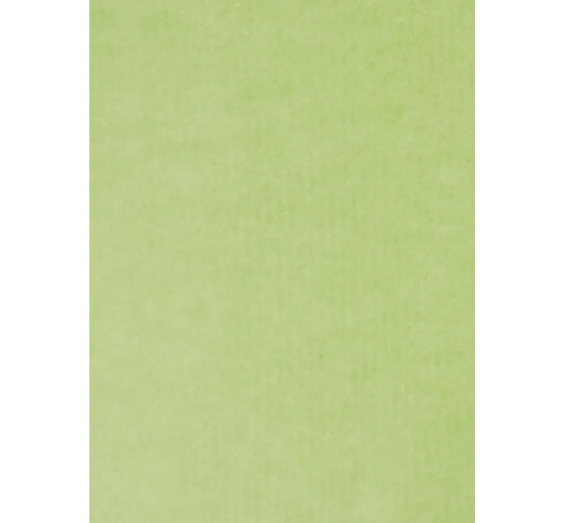 Sale folia Transparentpapier "Farbig sortiert", 100 Bogen