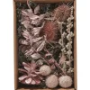 Clearance Othmar Decorations Trockenblüten Potpourri Set "Pearl Pink"