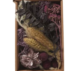 Clearance Othmar Decorations Trockenblüten Potpourri Set "Lilac"