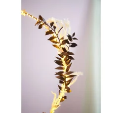 Clearance Othmar Decorations Trockenblüten Potpourri Set