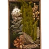 Best Othmar Decorations Trockenblüten Potpourri Set "Natural"