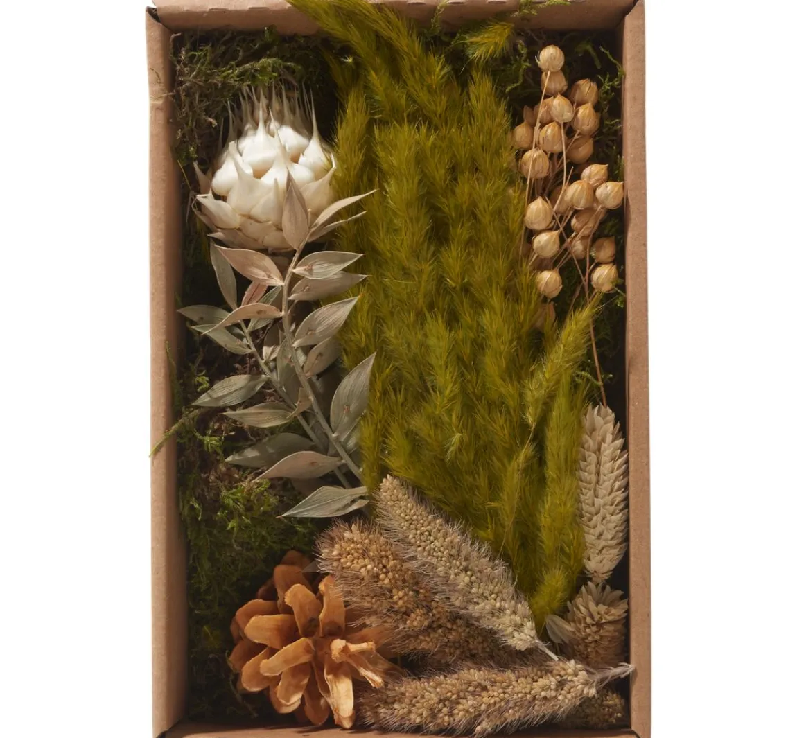 Best Othmar Decorations Trockenblüten Potpourri Set "Natural"