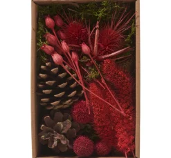 Online Othmar Decorations Trockenblüten Potpourri Set "Red"