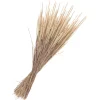 Online Othmar Decorations Trockenblumen "Phleum Pratensis"