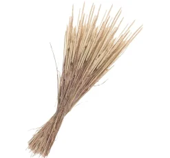 Online Othmar Decorations Trockenblumen "Phleum Pratensis"