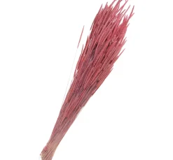 Online Othmar Decorations Trockenblumen